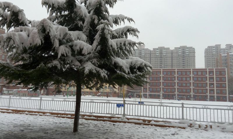 校園雪景